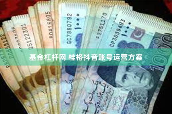 基金杠杆网 桂格抖音账号运营方案