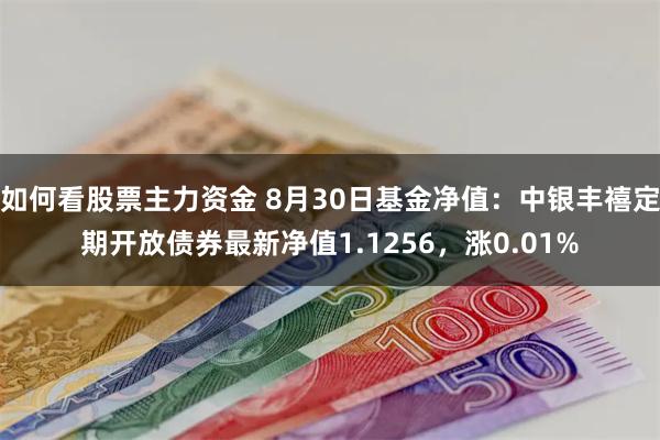 如何看股票主力资金 8月30日基金净值：中银丰禧定期开放债券最新净值1.1256，涨0.01%